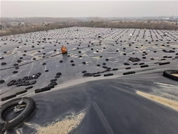 垃圾場(chǎng)封場(chǎng)項(xiàng)目